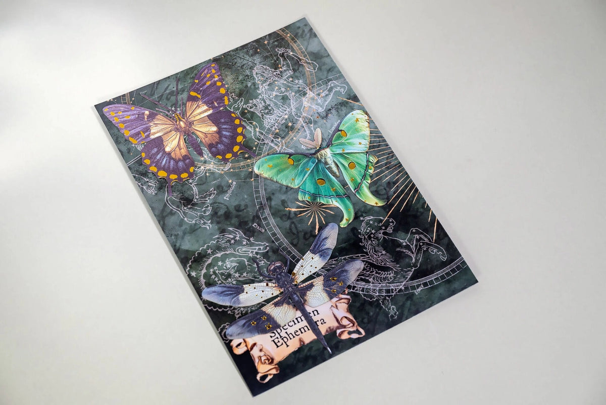 CoraCrea Crafts - Mysteries of The Night Specimen Ephemera - Set #2