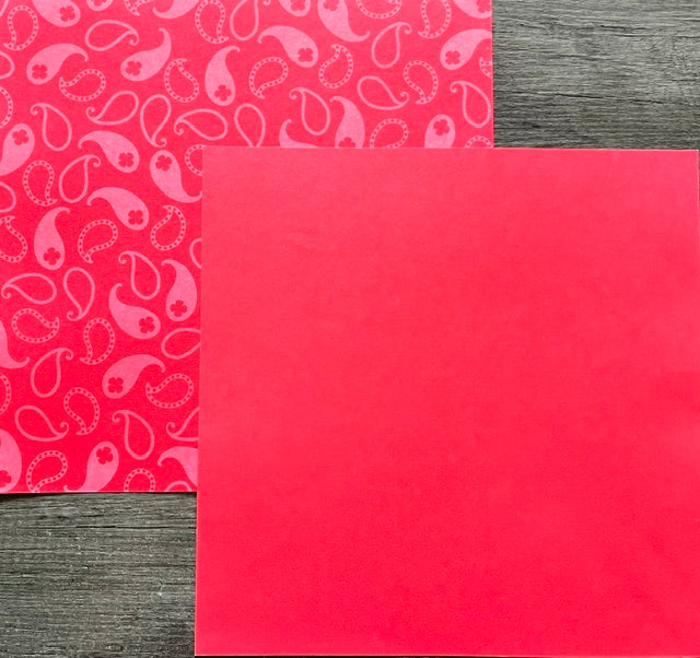 Vintage Market - Paisley Pop 12x12 Double-Sided Paper