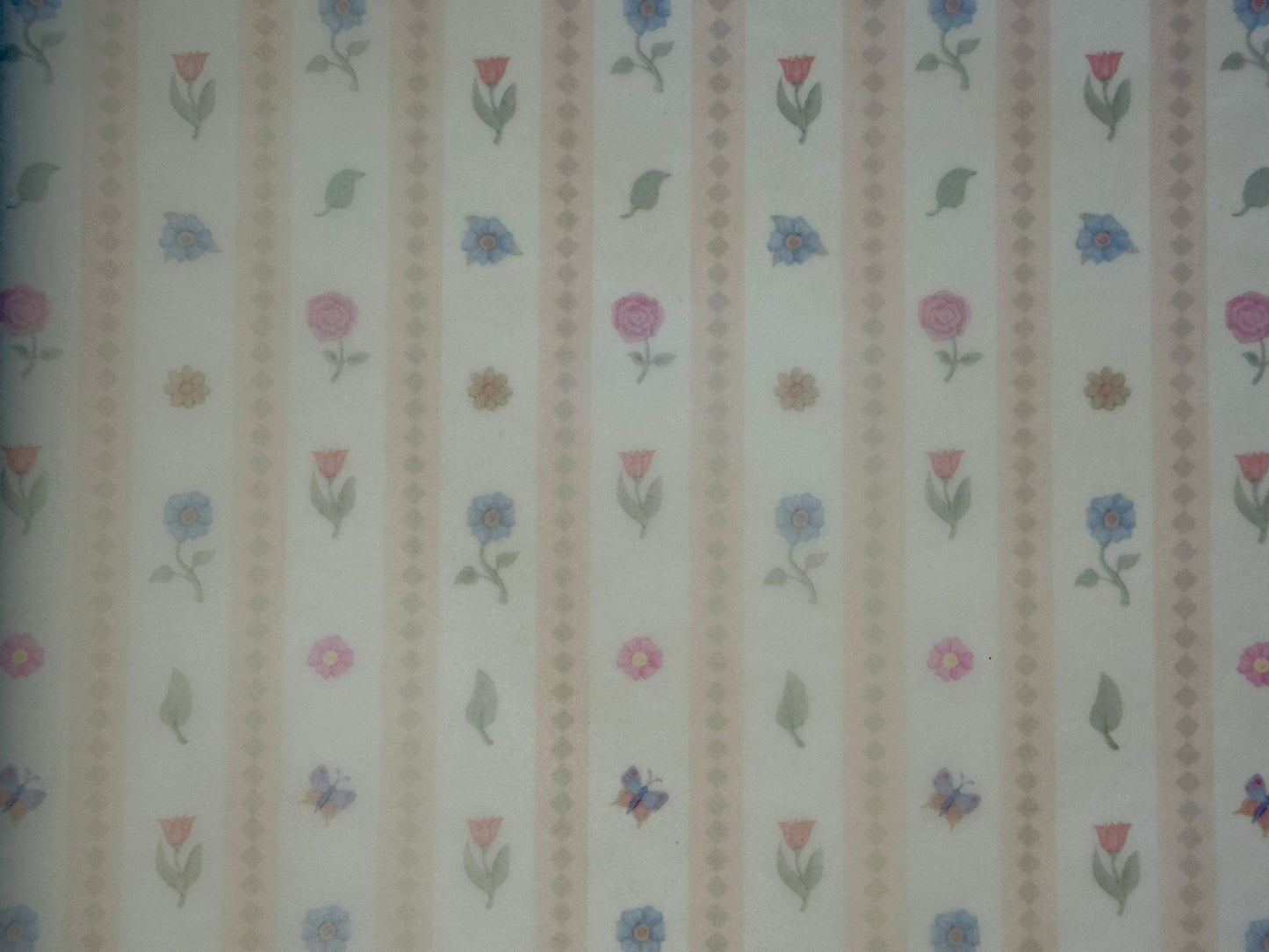 K & Company- 12x12 Garden Medley Stripe Printed Flat Vellum