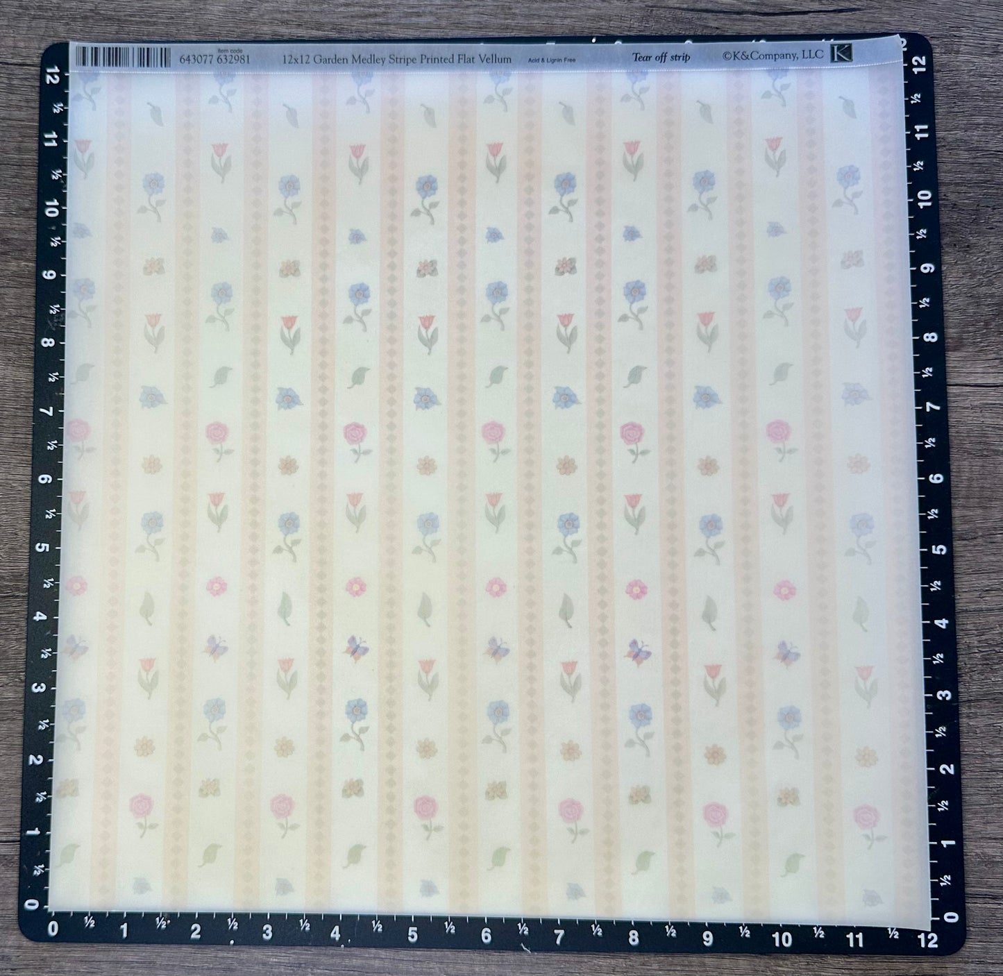 K & Company- 12x12 Garden Medley Stripe Printed Flat Vellum