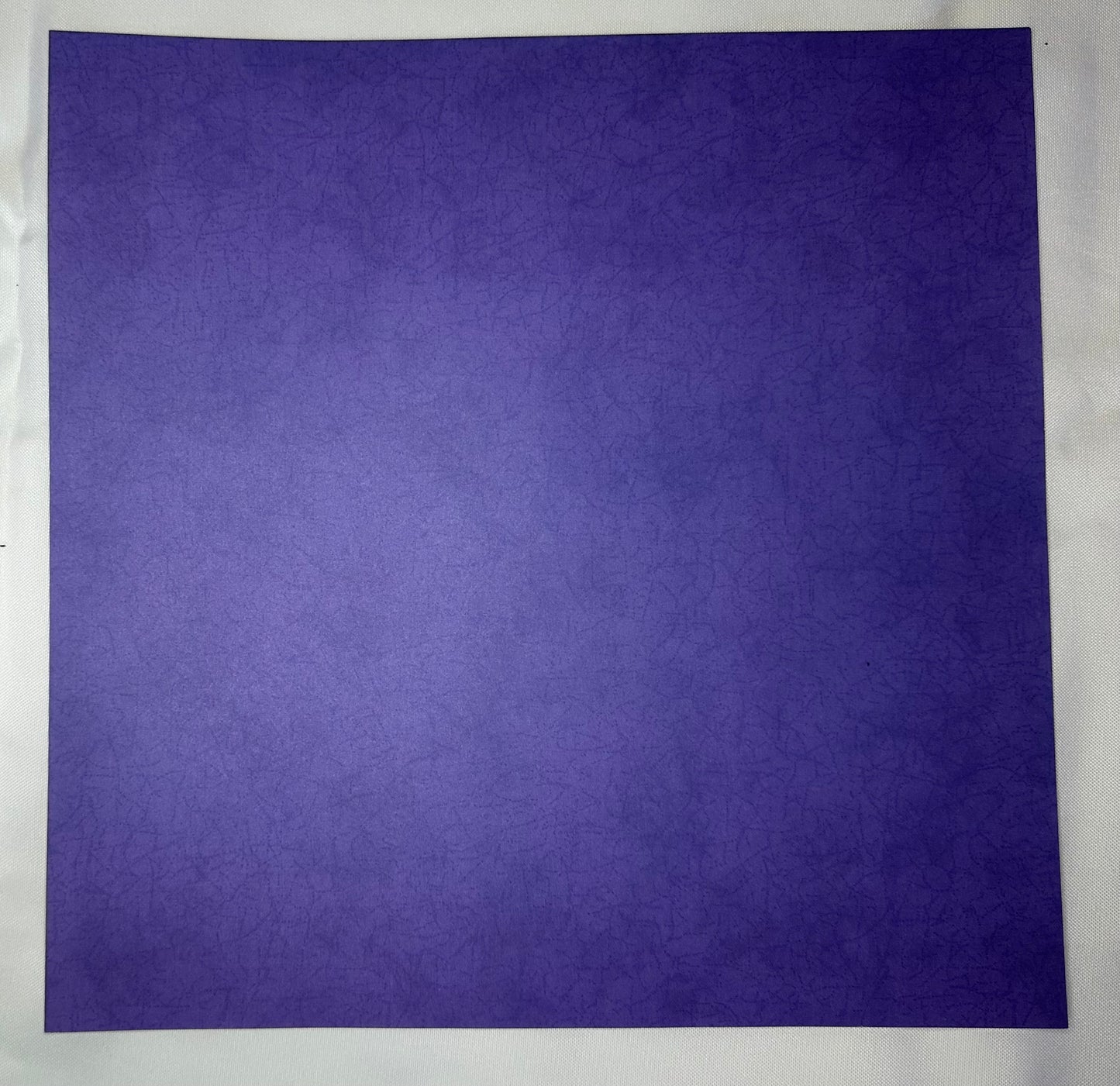 Daisy D’s-12x12 Autumn Hatch- Purple