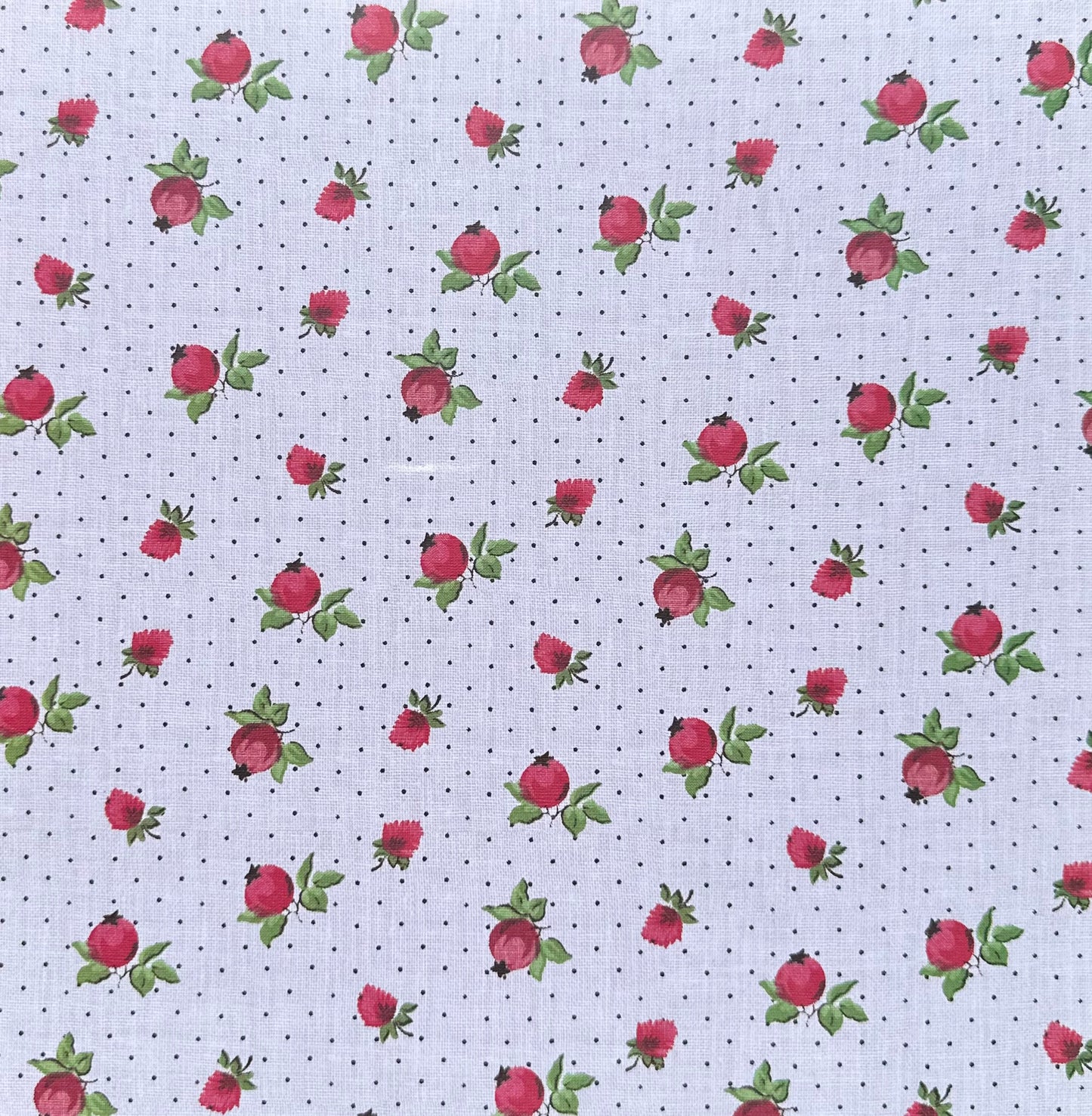 Vintage Market - 12x12 Single Sided Paper - Pomegranates & Polka Dots