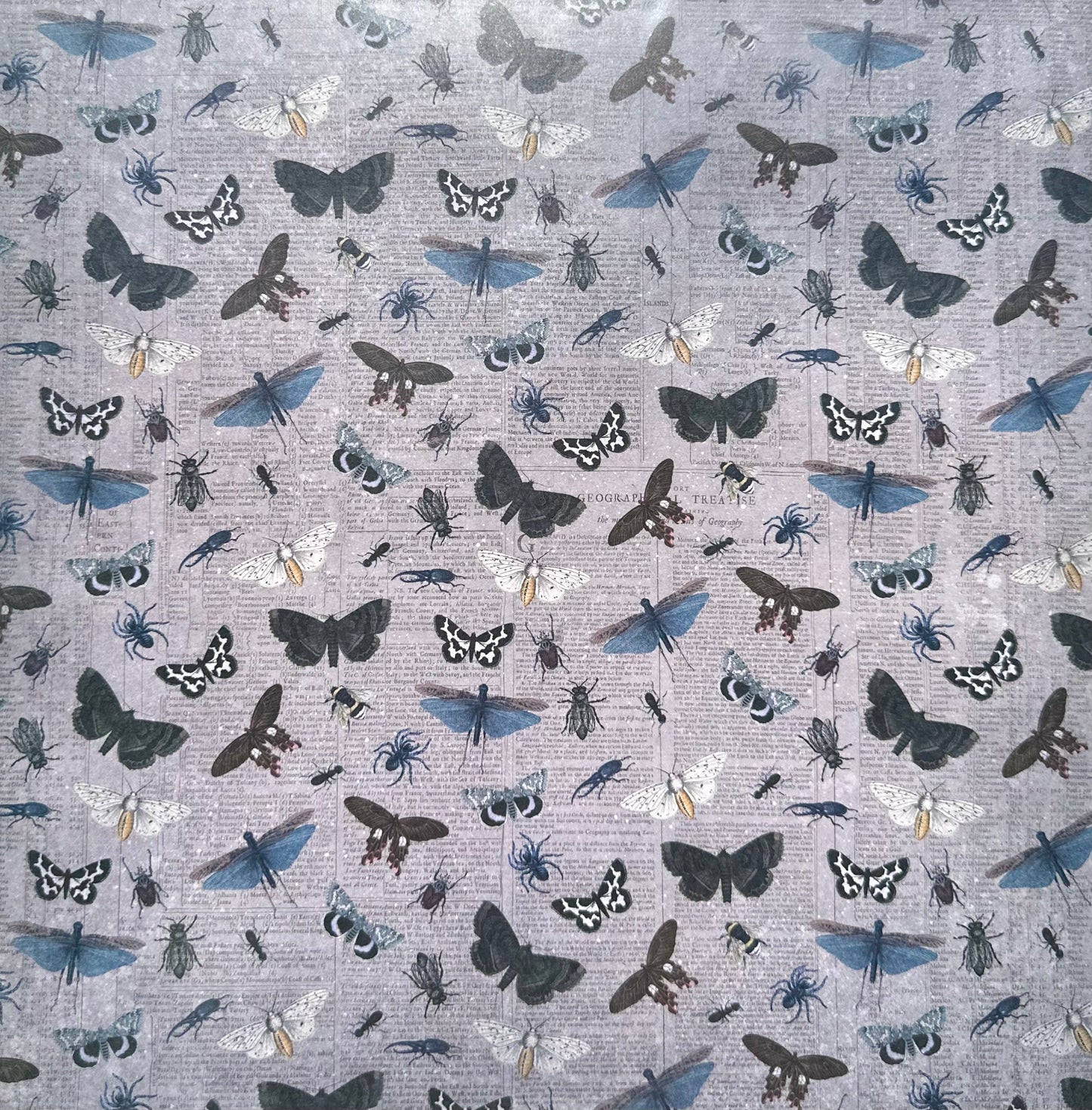 Vintage Market - 12x12 Single Sided Paper - Winged Specimens