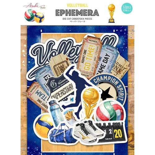 Memory Place - Volleyball Ephemera