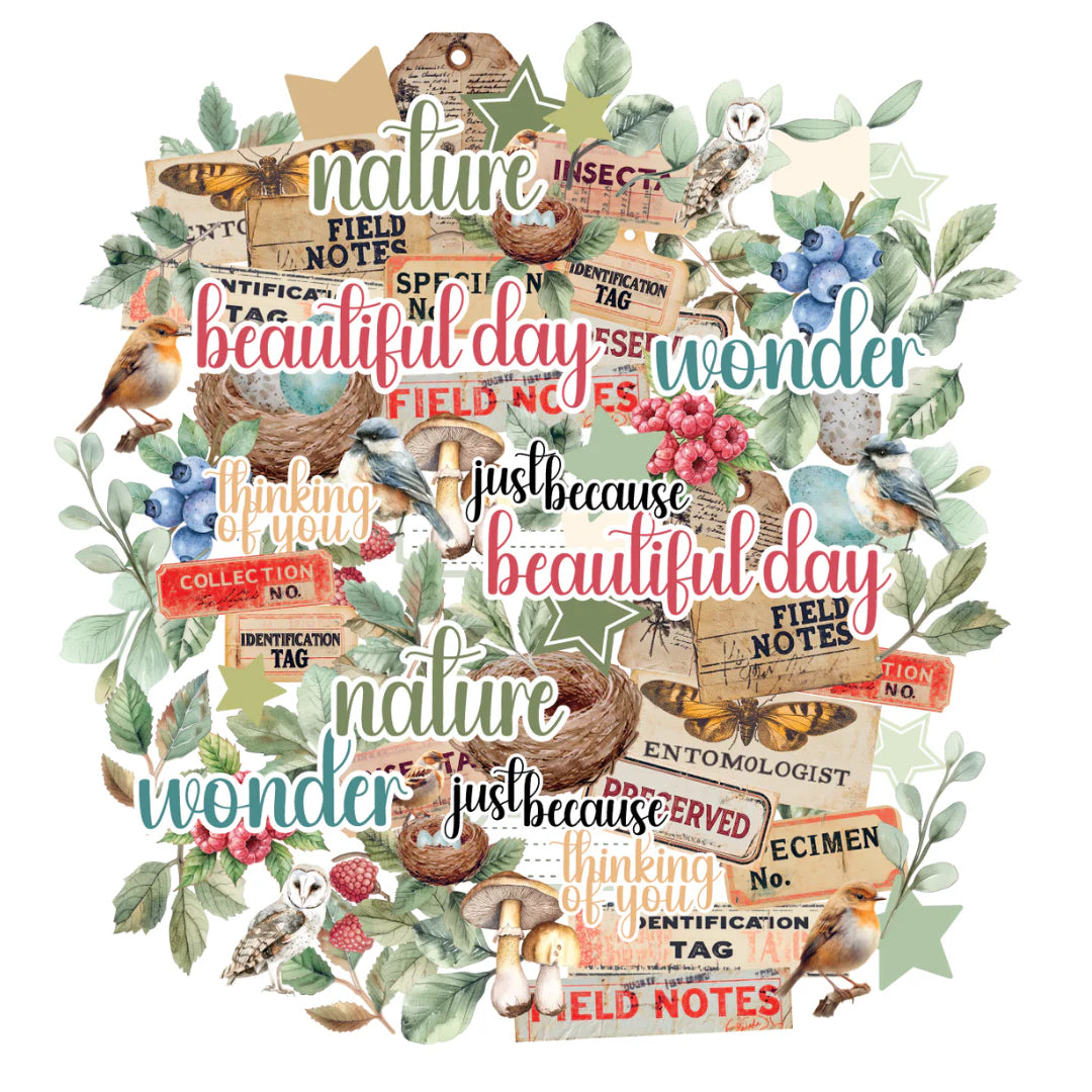 Uniquely Creative - Botanical Chronicles Creative Cuts