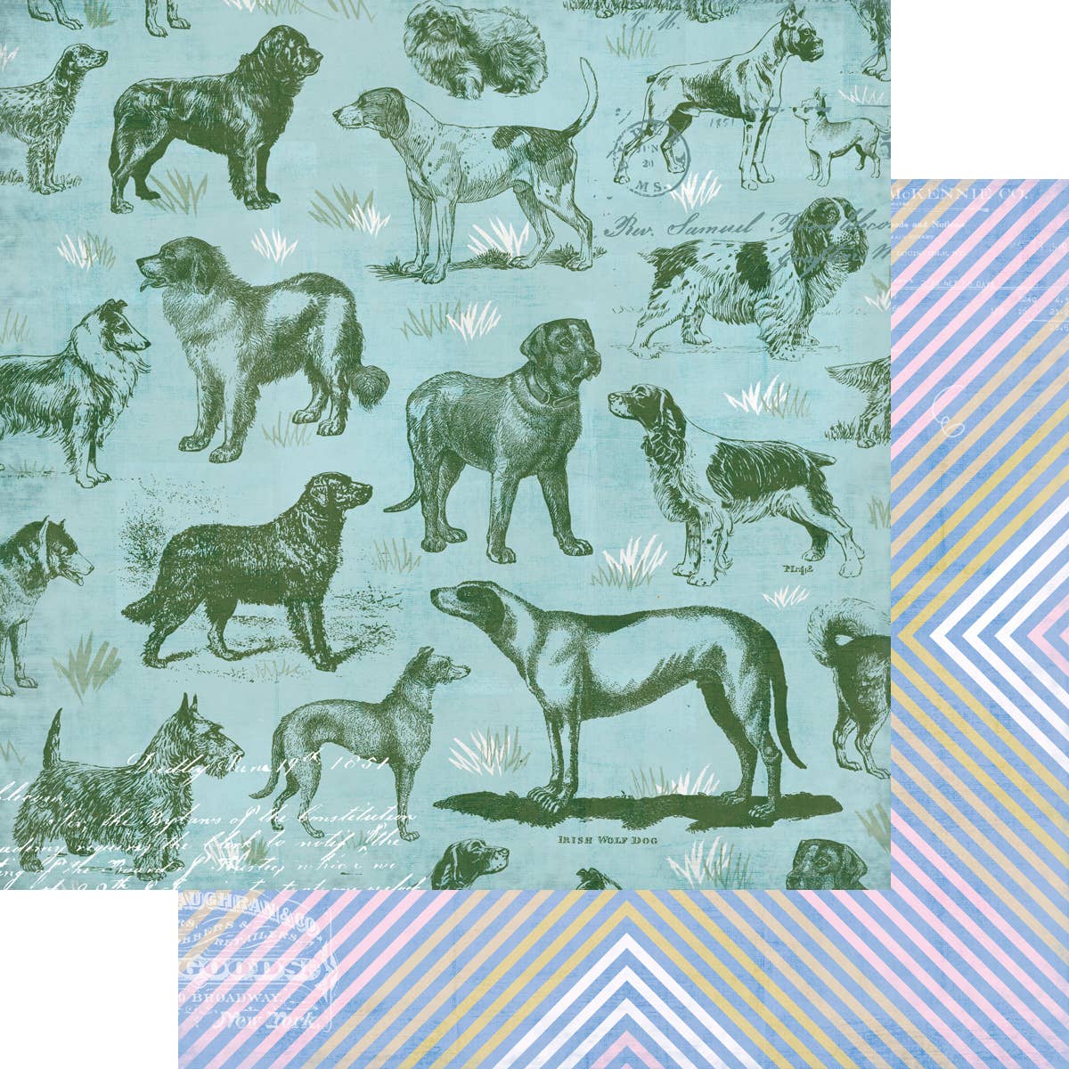 Fancy Pants Designs - Spot & Oliver - Big Bundle Kit