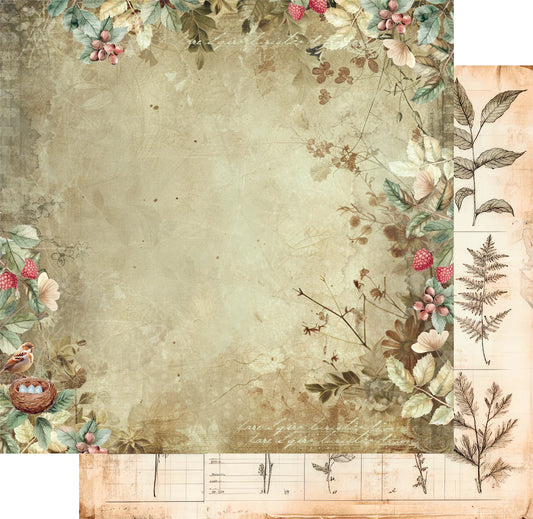 Uniquely Creative - Botanical Chronicles - Beautiful Botany 12x12 Paper