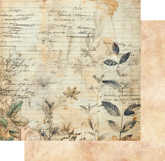 Uniquely Creative - Botanical Chronicles - Botanical Ledger 12x12 Paper