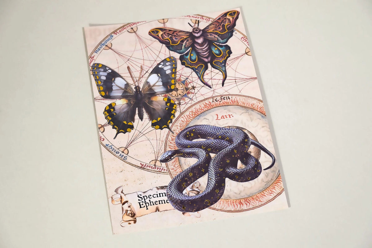 CoraCrea Crafts - Mysteries of the Night - Specimen Ephemera - Set 3