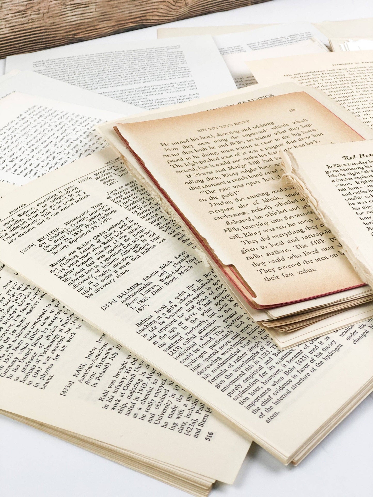 House of Books - Art Kit- Vintage Book Pages for Collage and Art