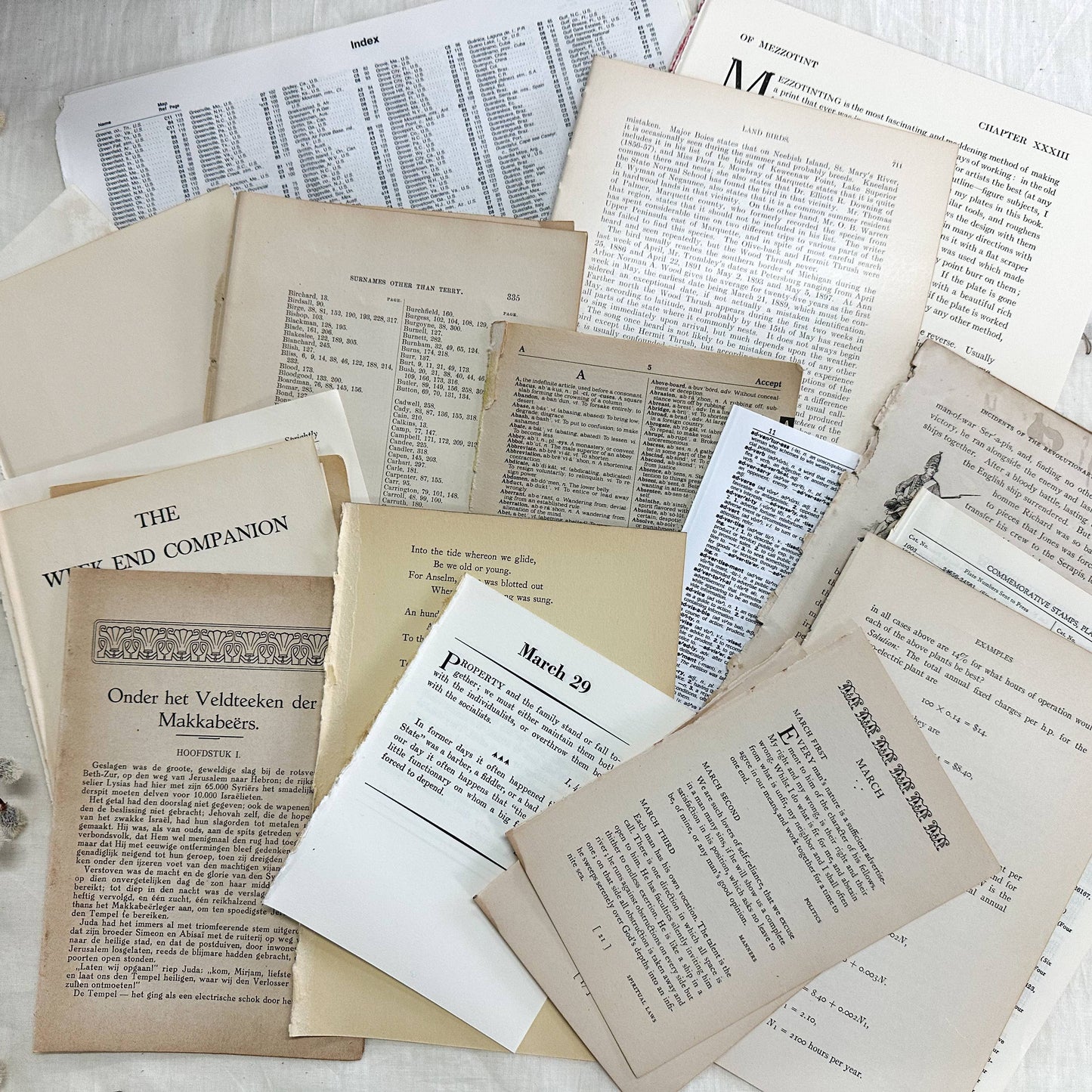 House of Books - Art Kit- Vintage Book Pages for Collage and Art
