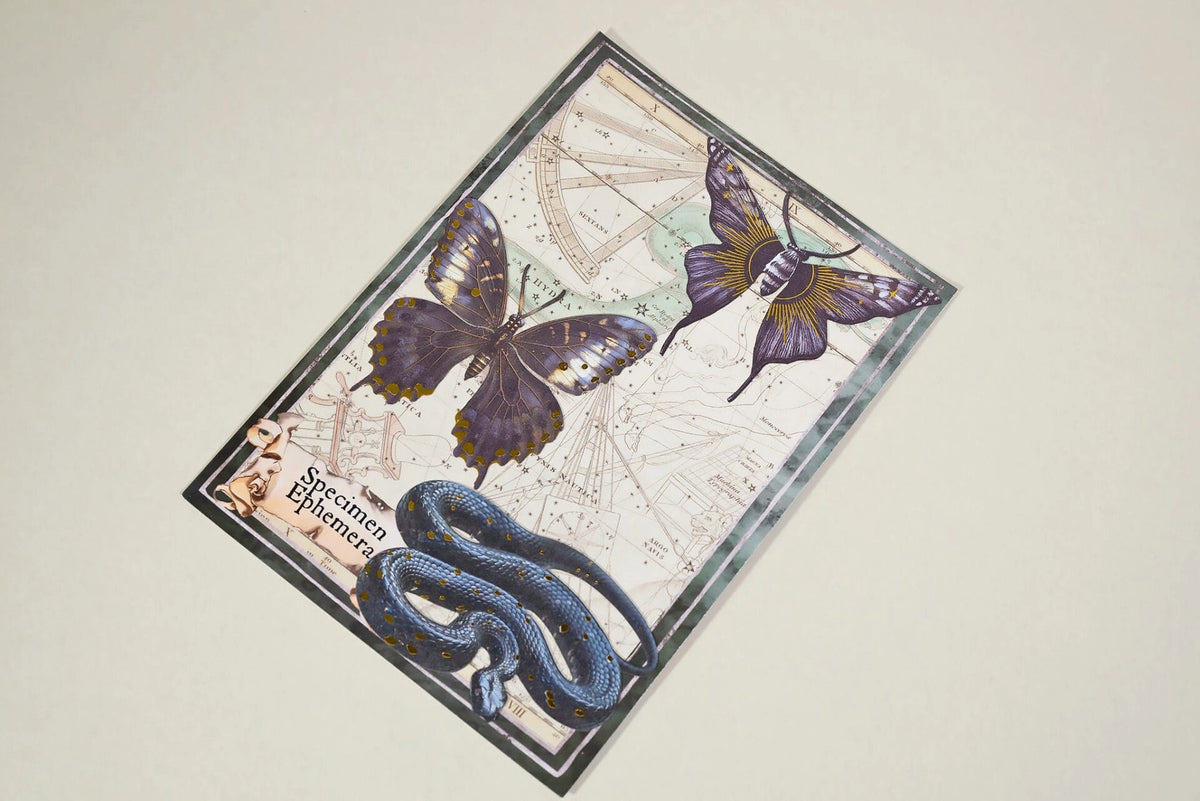 CoraCrea Crafts - Mysteries of The Night - Specimen Ephemera - Set 4
