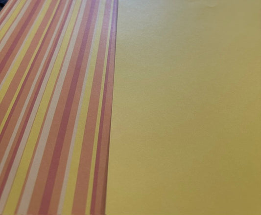 Vintage Market - s.e.i - Ski & Skate Stripe 12x12 Paper