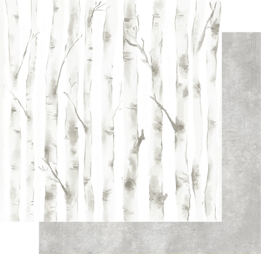 Silver Birch Paper