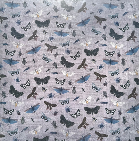 Vintage Market - 12x12 Single Sided Paper - Winged Specimens