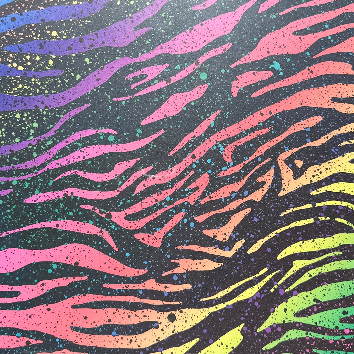 Vintage Market - 12x12 Single Sided Paper - Rainbow Zebra Pint