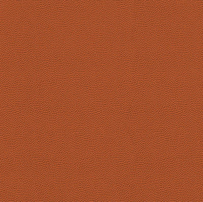 Designs By Reminisce - Basketball Leather 12x12 Paper (Textured)