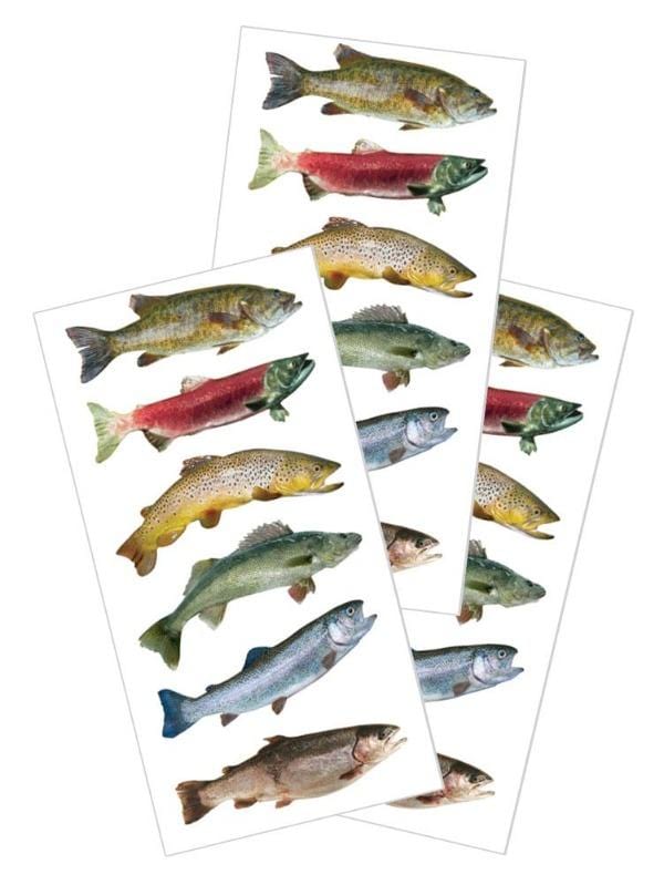 Freshwater Fish Stickers