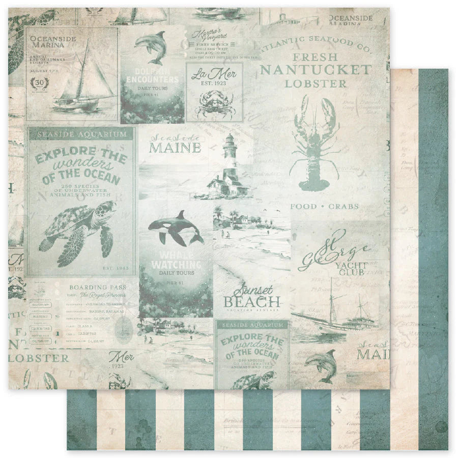 Paper Rose Studio - Seaside Memories Basics Paper D
