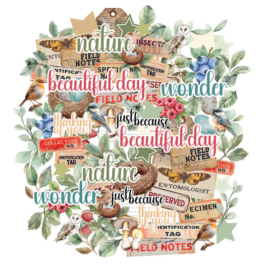 Uniquely Creative - Botanical Chronicles Creative Cuts