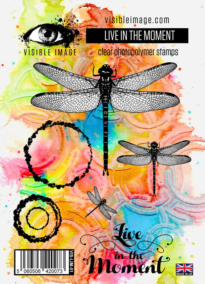 Visible Image - Live In The Moment - A6 Photopolymer Stamp Set