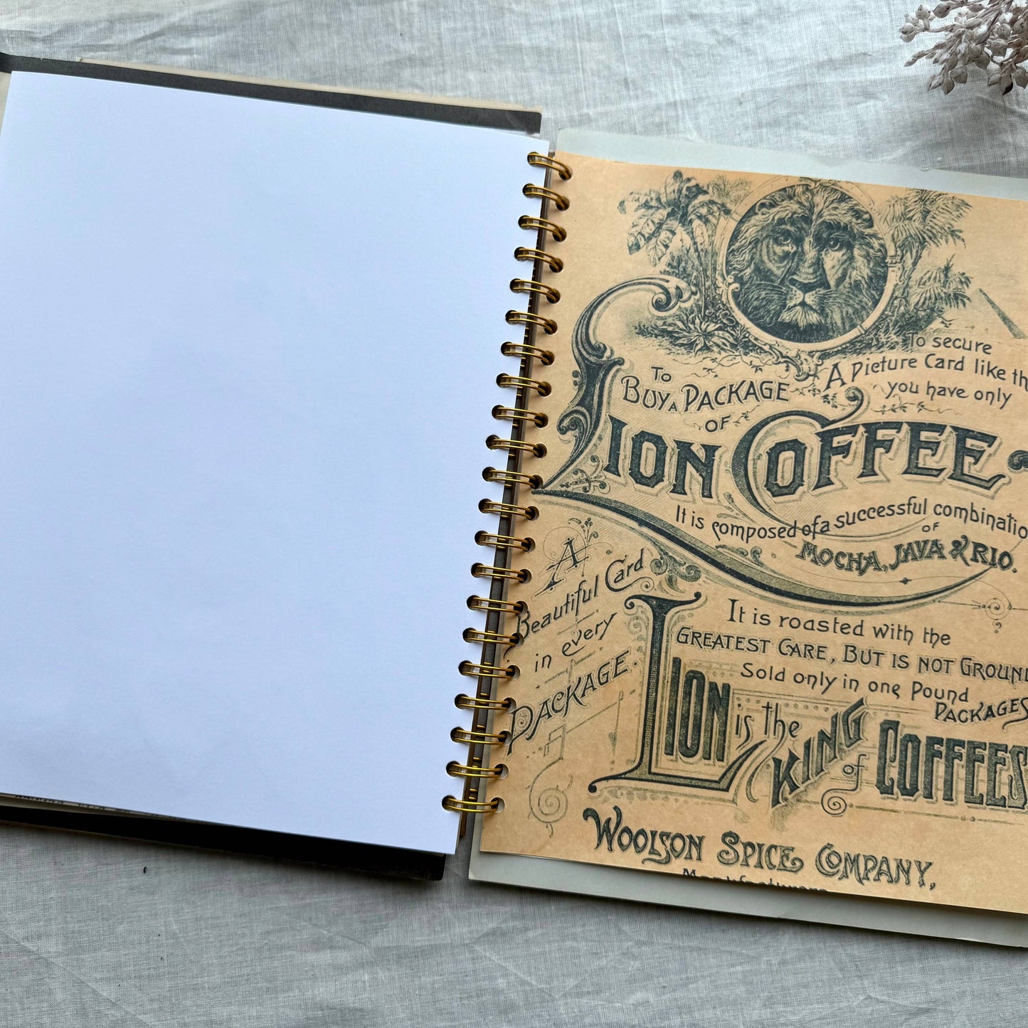 Hose of Books - Vintage Mixed Media Journal- 9x12 inches: Spiral Bound